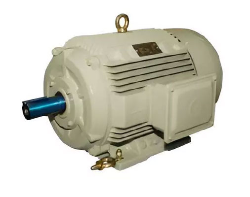 Crusher Duty Motors, Crusher Duty Motors