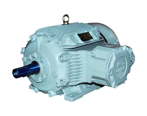 Flameproof Motors CG Motor In Ahmedabad, Flameproof Motors CG Motor In Ahmedabad