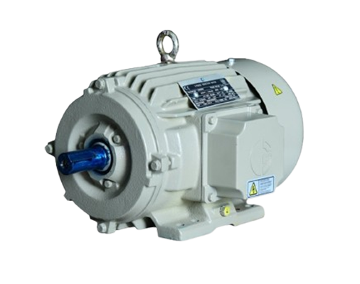 IE2 CG Motor in Ahmedabad